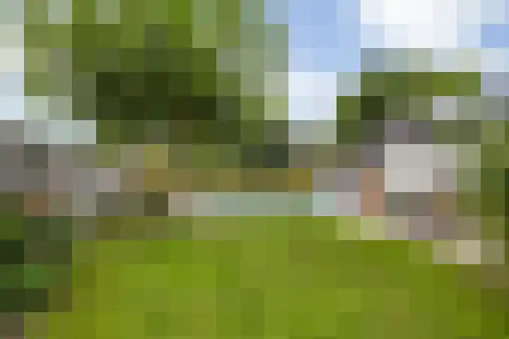 Liesboslaan 85 Breda thumbnail 28