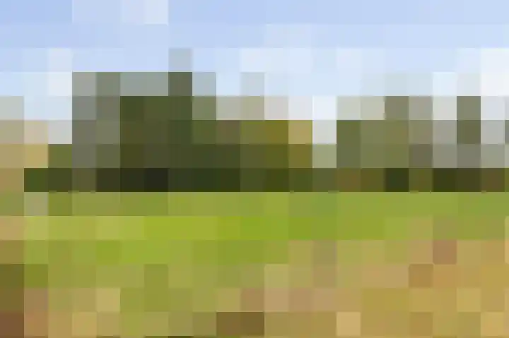 Liesboslaan 85 Breda thumbnail 30