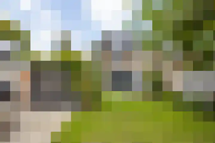 Liesboslaan 85 Breda thumbnail 33