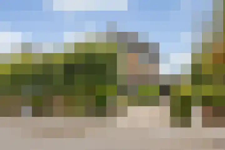 Liesboslaan 85 Breda thumbnail 34