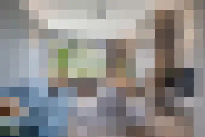 Liesboslaan 85 Breda thumbnail 6