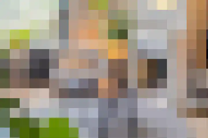 Liesboslaan 85 Breda thumbnail 7