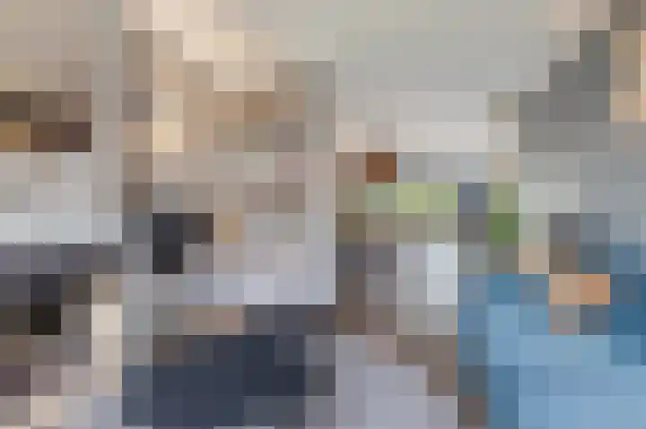 Liesboslaan 85 Breda thumbnail 8