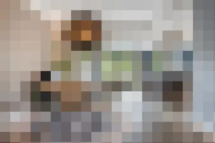 Liesboslaan 85 Breda thumbnail 9