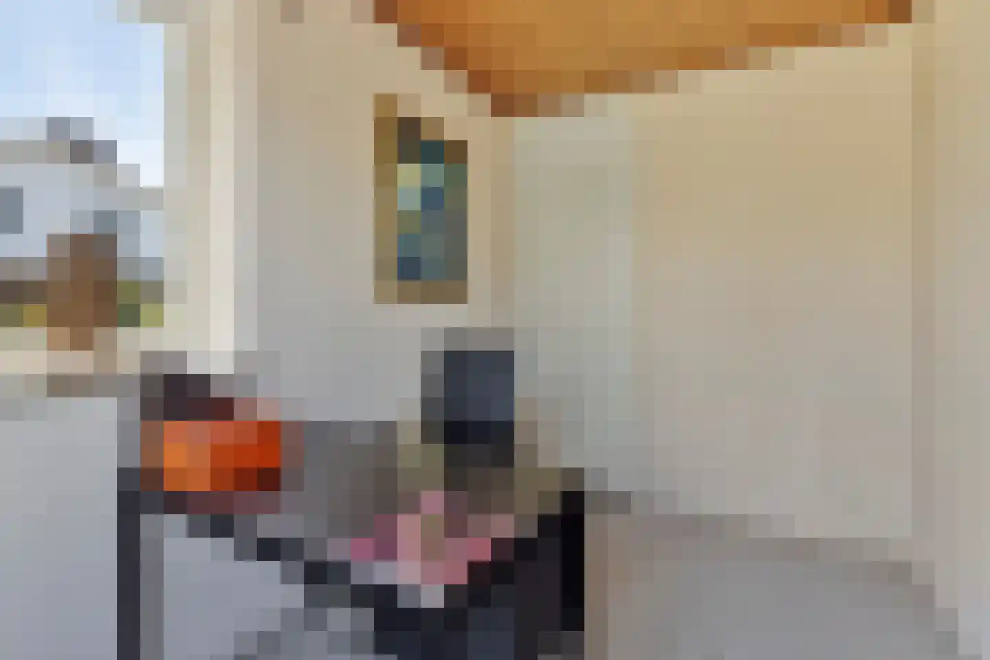 Liesboslaan 95 Breda thumbnail 17