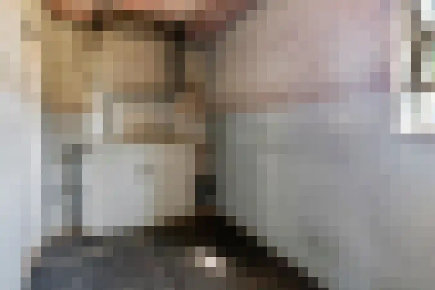 Liesboslaan 95 Breda thumbnail 23
