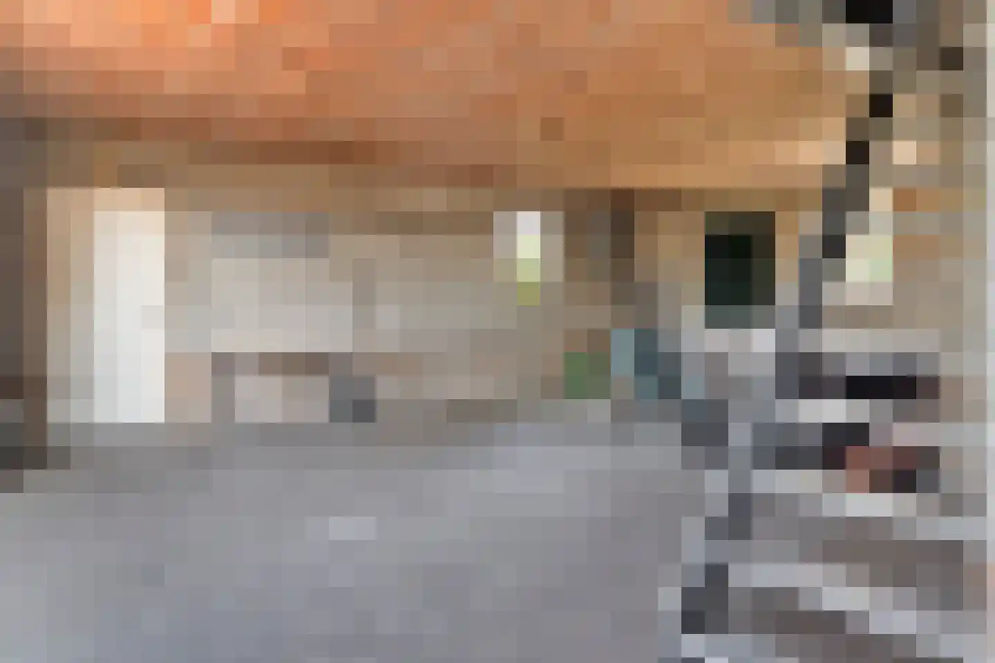 Liesboslaan 95 Breda thumbnail 25