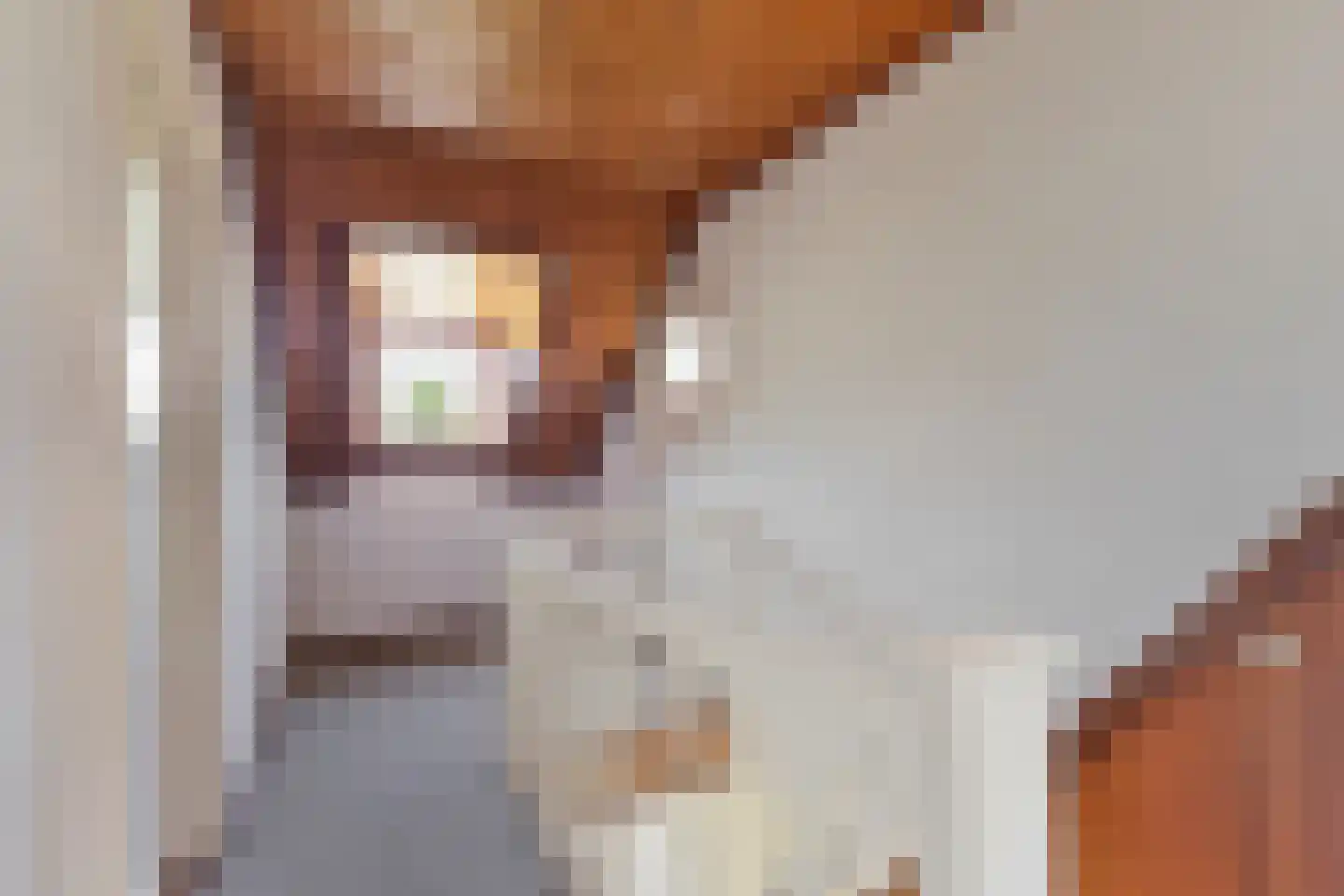 Liesboslaan 95 Breda thumbnail 31