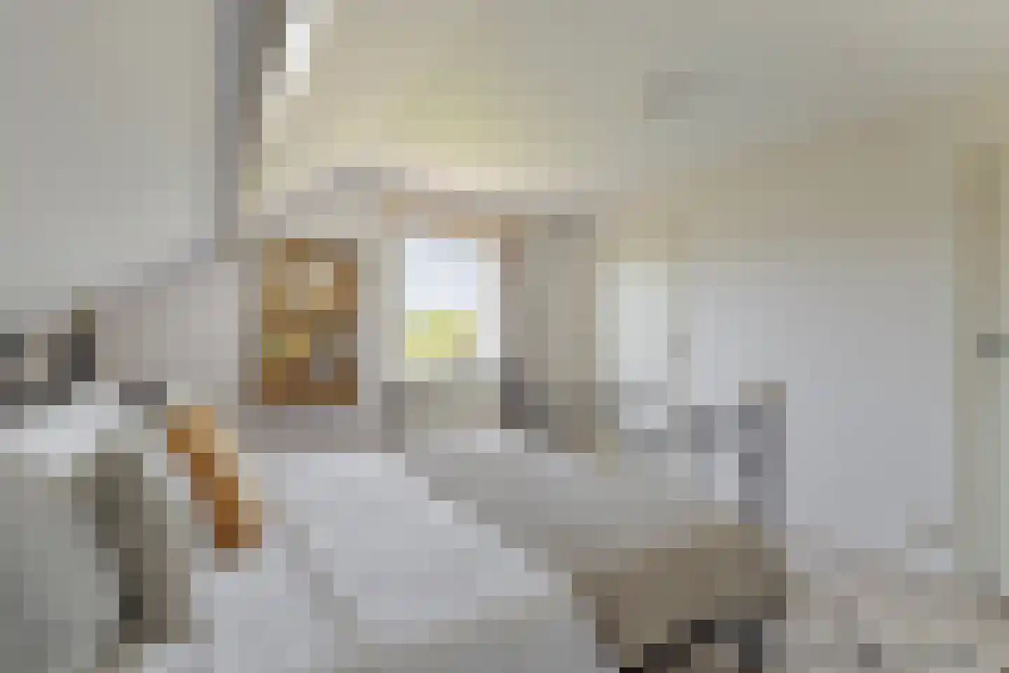 Liesboslaan 95 Breda thumbnail 33
