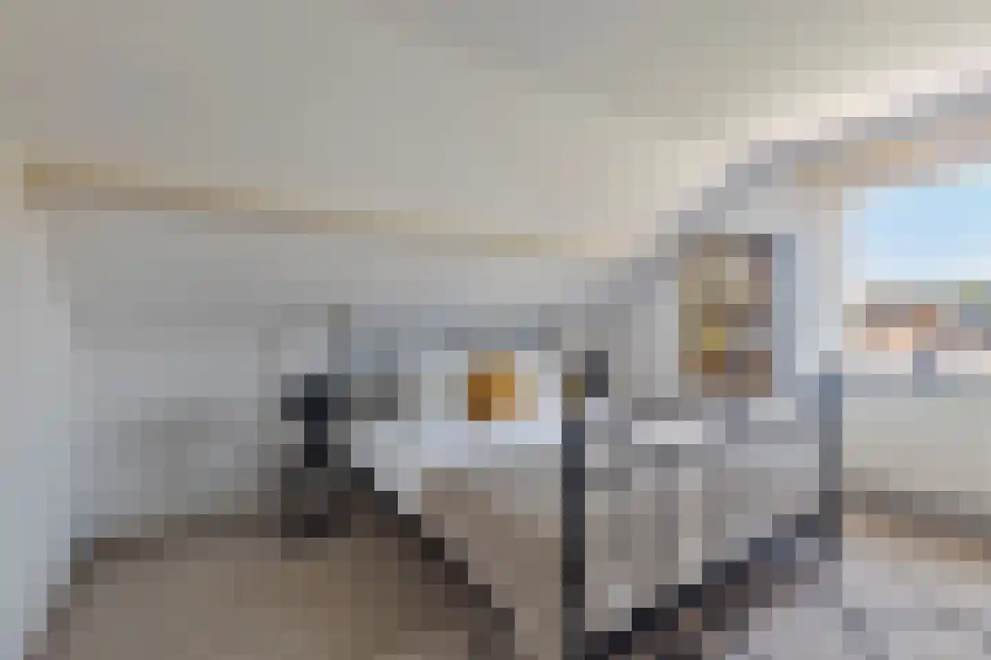 Liesboslaan 95 Breda thumbnail 34