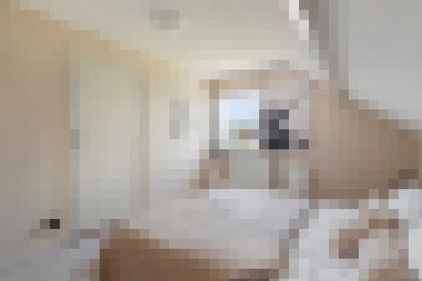 Liesboslaan 95 Breda thumbnail 36