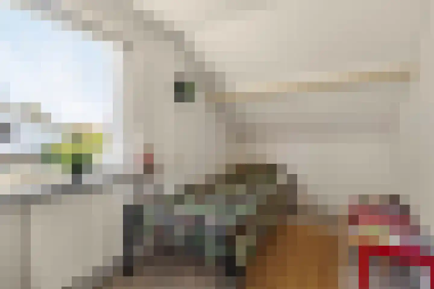 Liesboslaan 95 Breda thumbnail 37