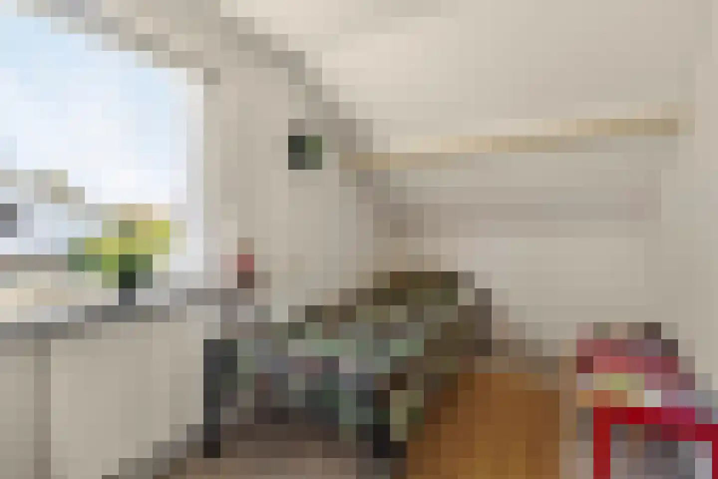Liesboslaan 95 Breda thumbnail 37