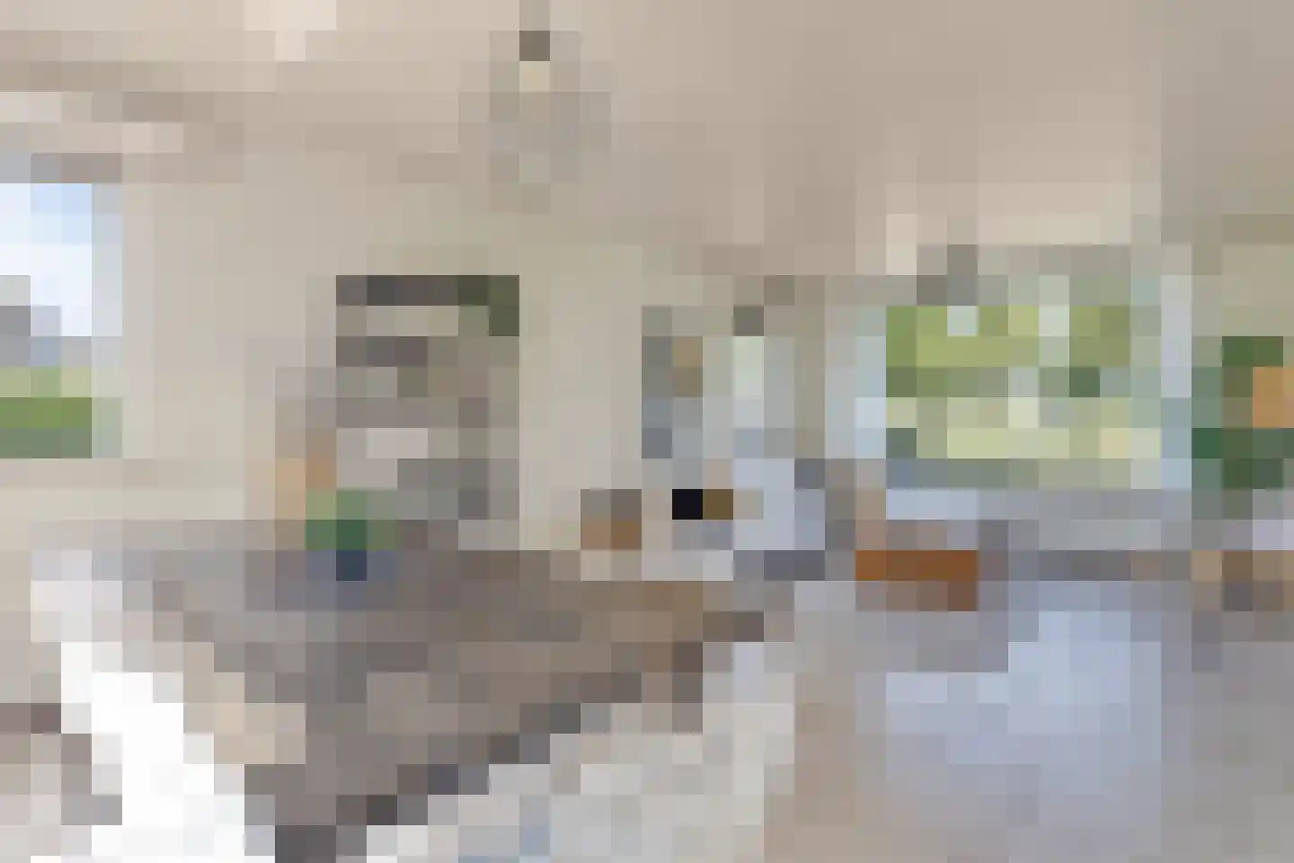Liesboslaan 95 Breda thumbnail 4