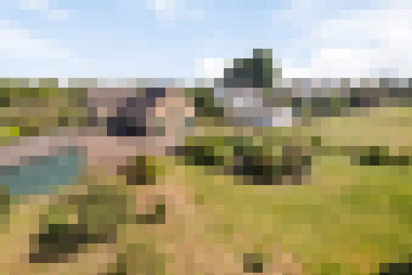 Liesboslaan 95 Breda thumbnail 43