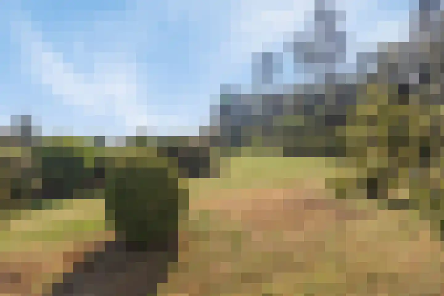 Liesboslaan 95 Breda thumbnail 46