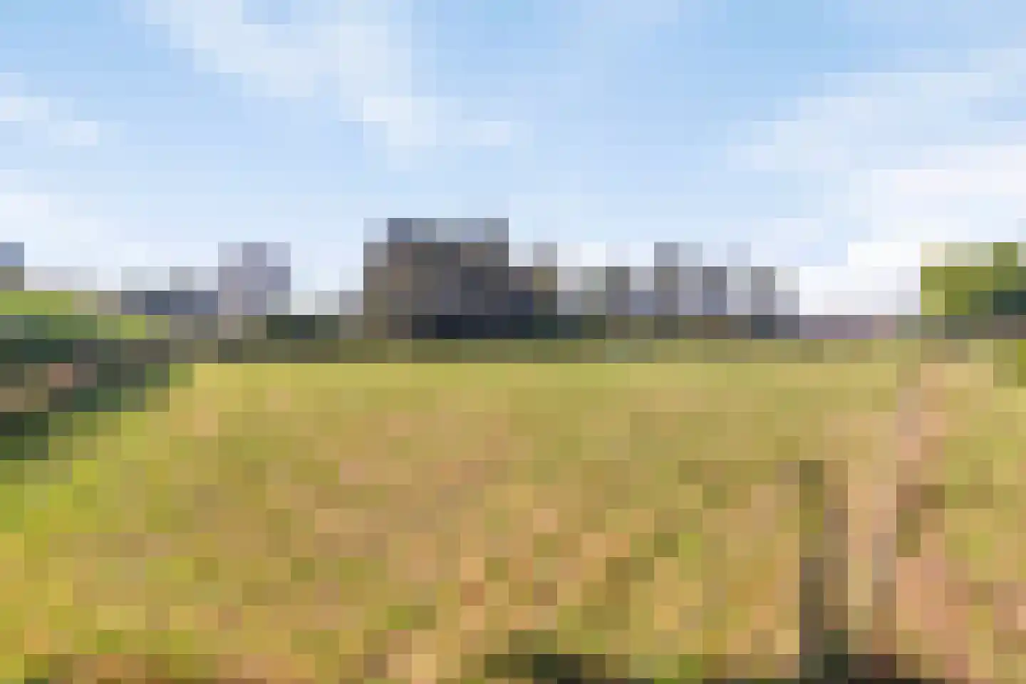 Liesboslaan 95 Breda thumbnail 49