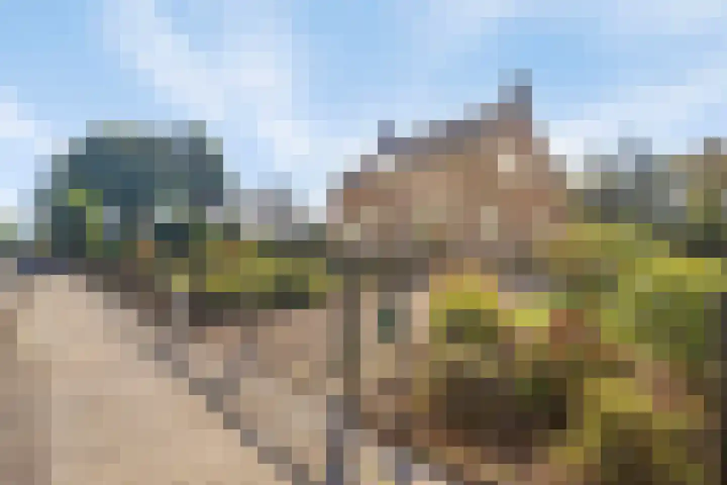 Liesboslaan 95 Breda thumbnail 54