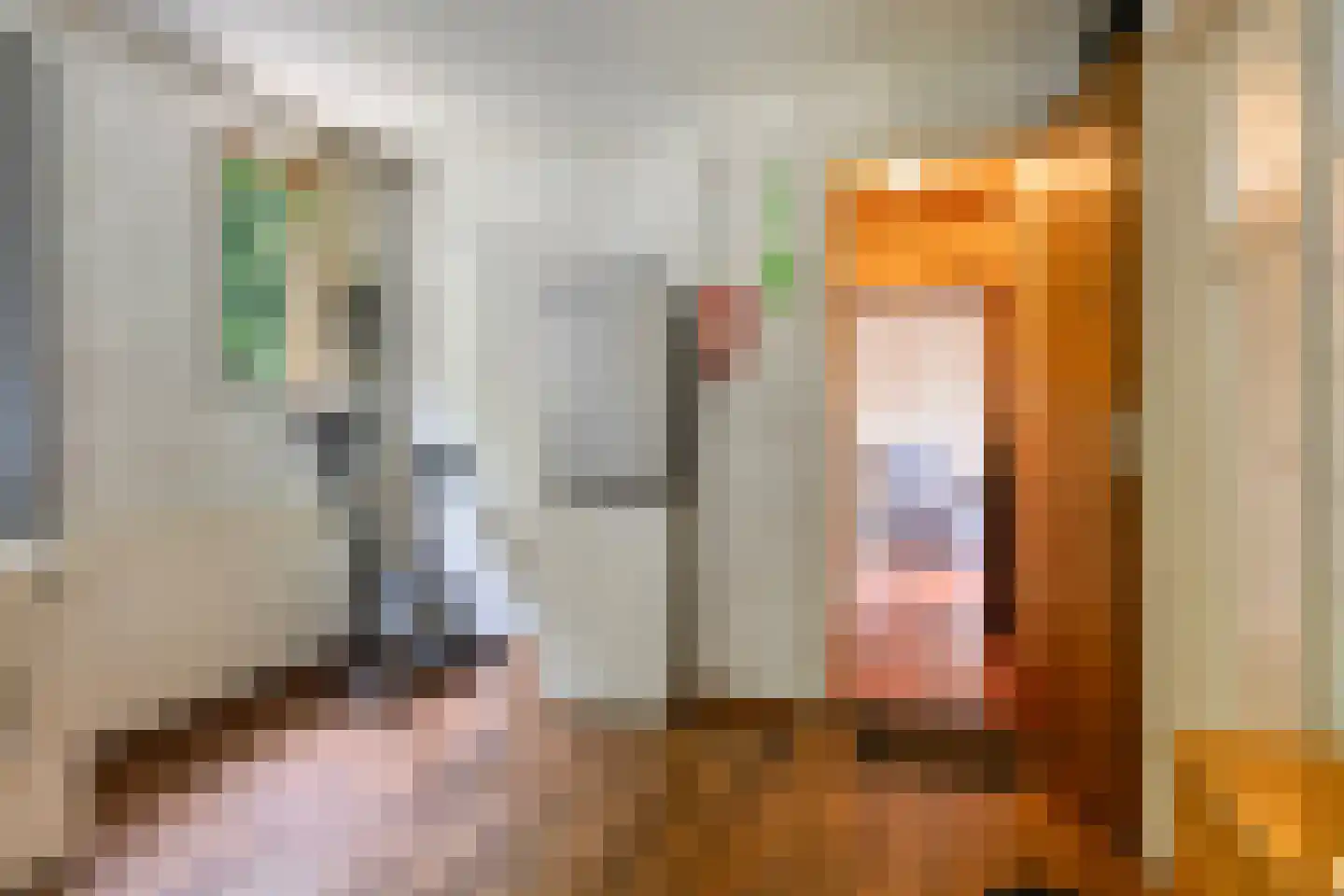 Liesbospark 10 Breda thumbnail 24