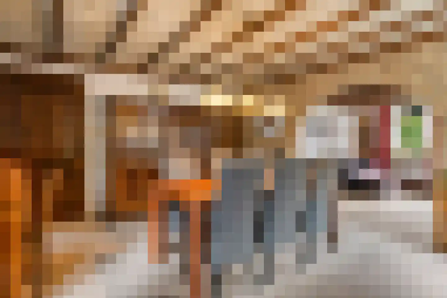 Liesbospark 10 Breda thumbnail 4