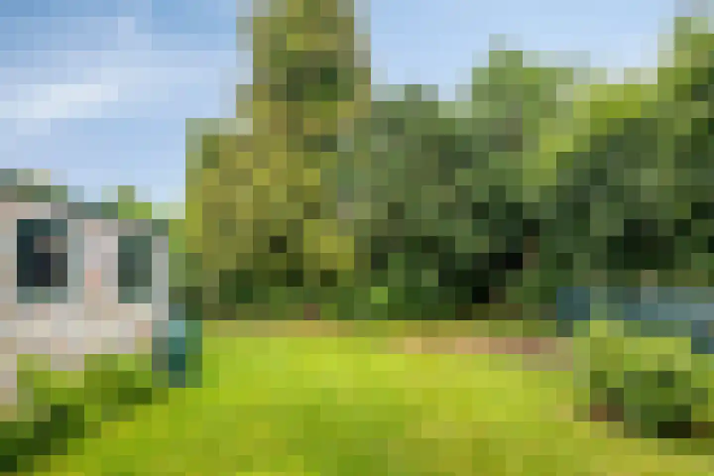 Liesbospark 10 Breda thumbnail 41