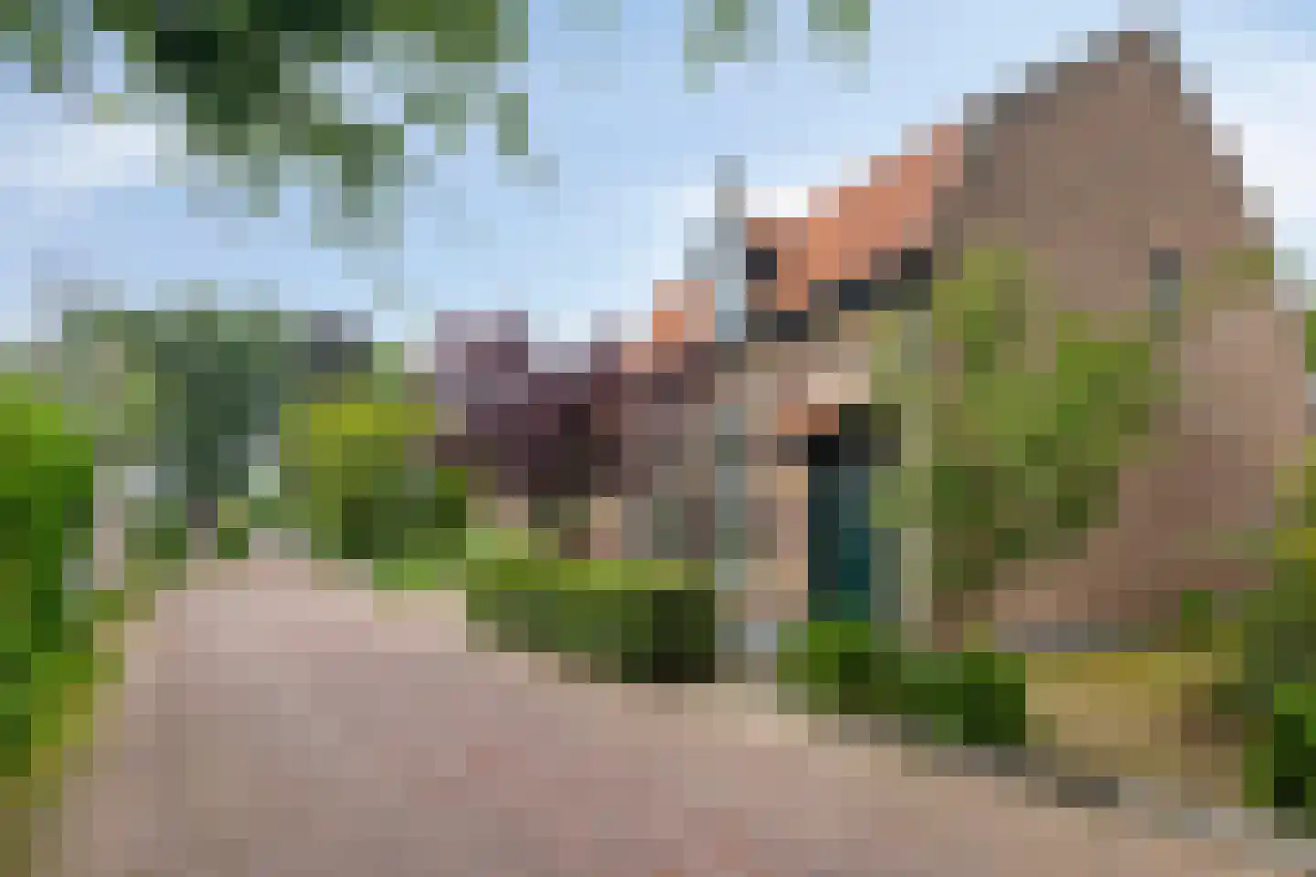Liesbospark 10 Breda thumbnail 51