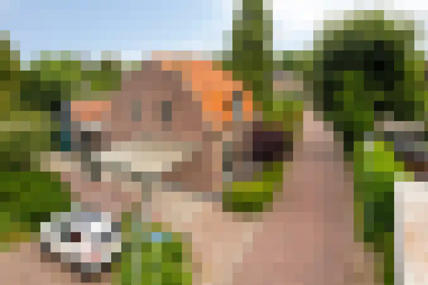 Liesbospark 10 Breda thumbnail 52
