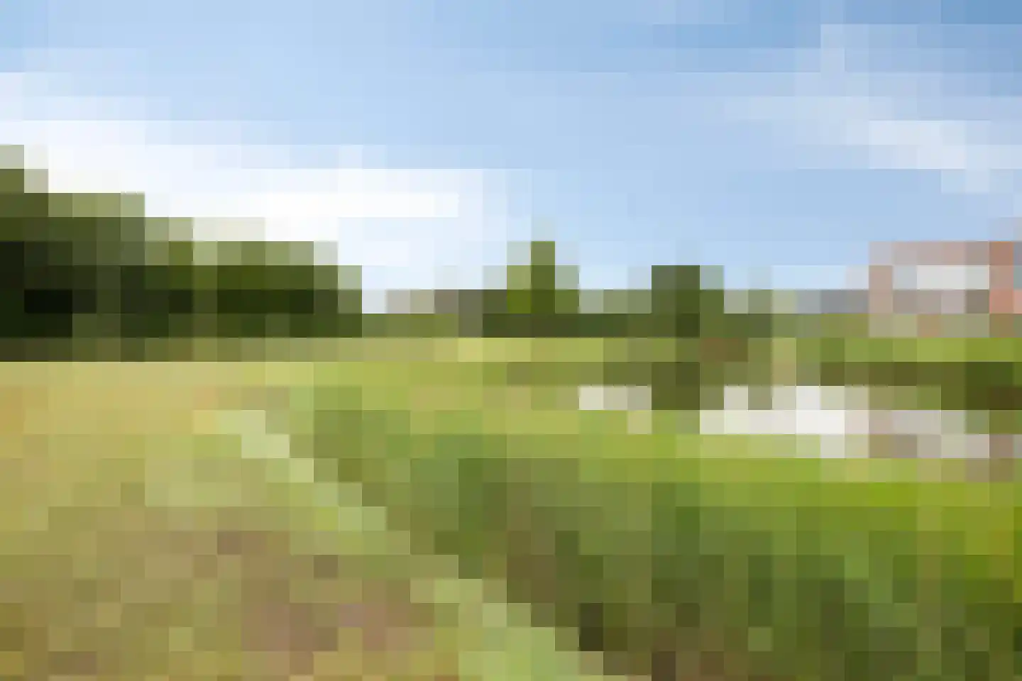 Liesbospark 10 Breda thumbnail 55