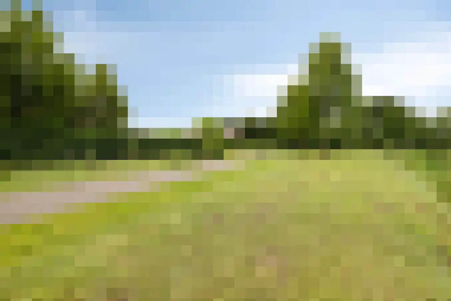 Liesbospark 10 Breda thumbnail 56
