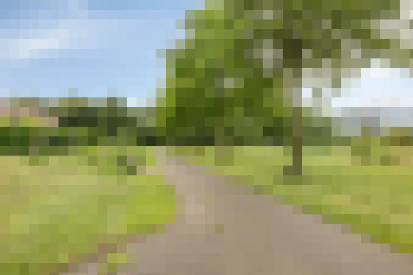 Liesbospark 10 Breda thumbnail 57