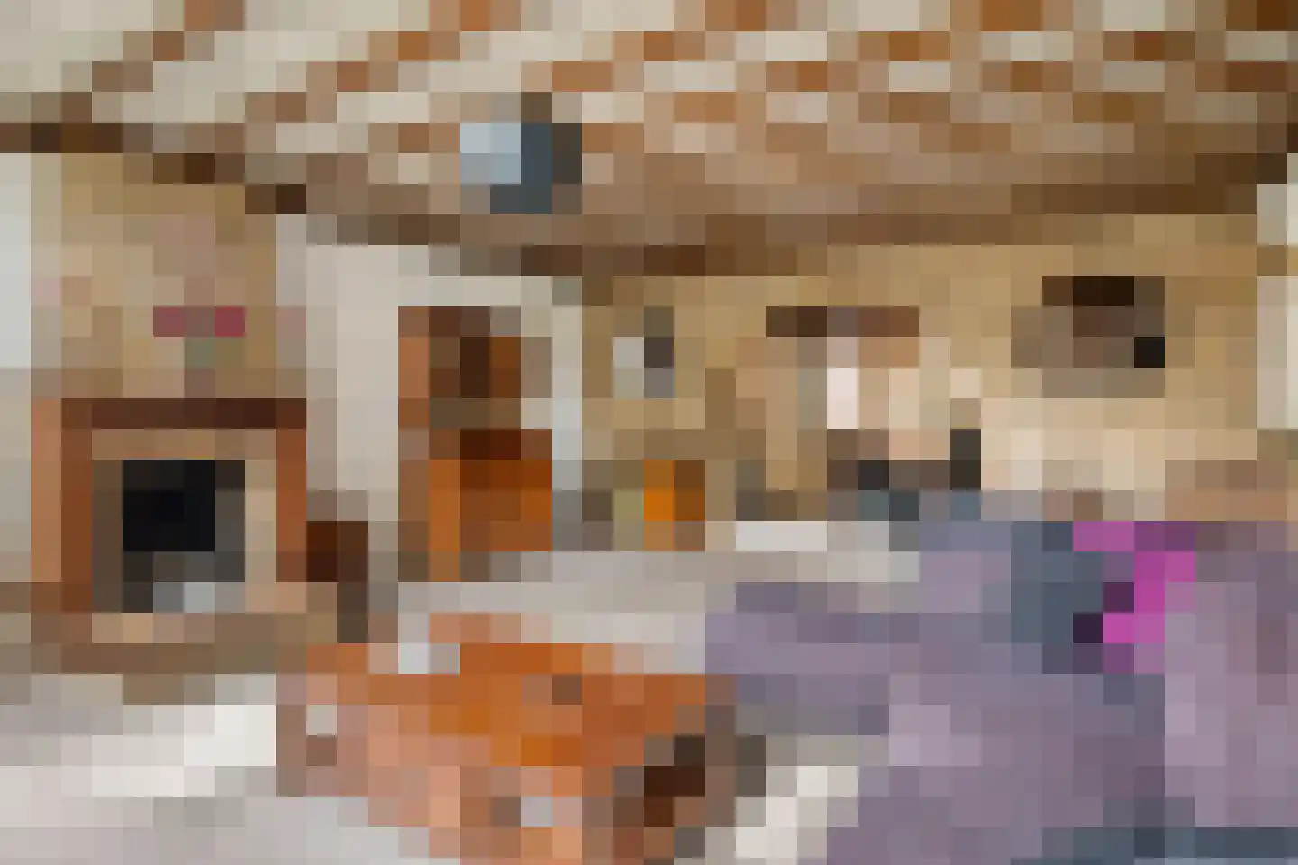 Liesbospark 10 Breda thumbnail 8