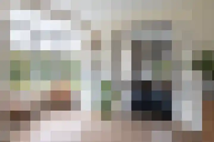 Liesbospark 34 Breda thumbnail 11