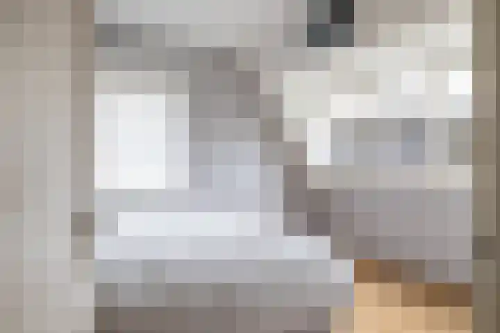 Liesbospark 34 Breda thumbnail 18
