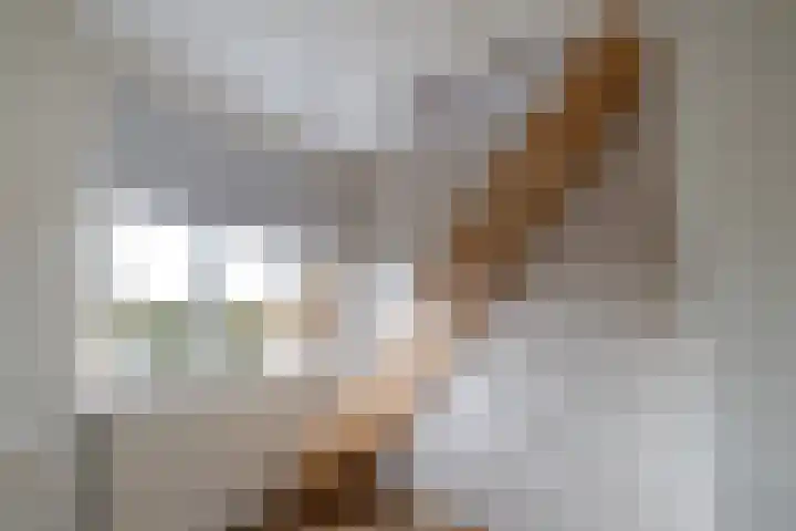 Liesbospark 34 Breda thumbnail 22