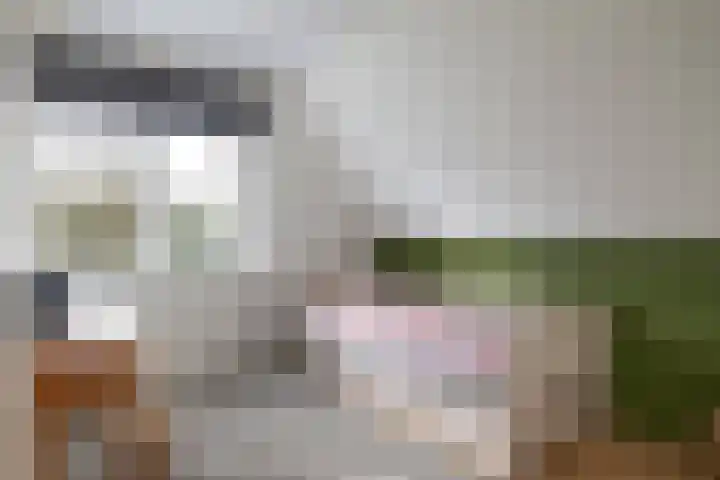 Liesbospark 34 Breda thumbnail 24