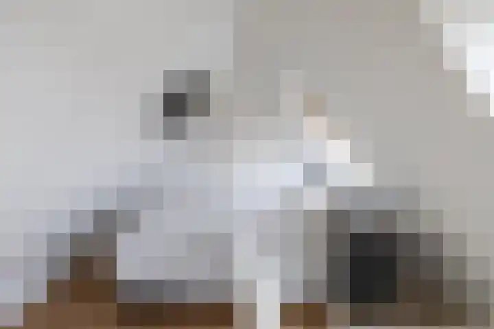 Liesbospark 34 Breda thumbnail 28