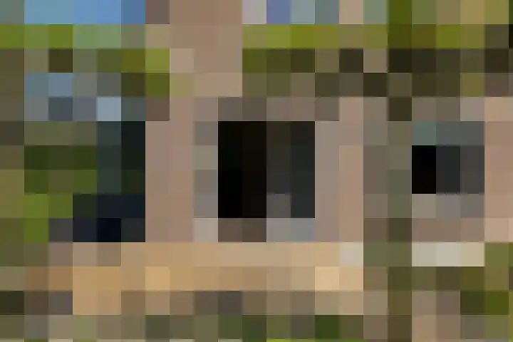 Liesbospark 34 Breda thumbnail 40