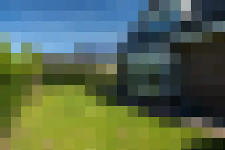 Liesbospark 34 Breda thumbnail 41