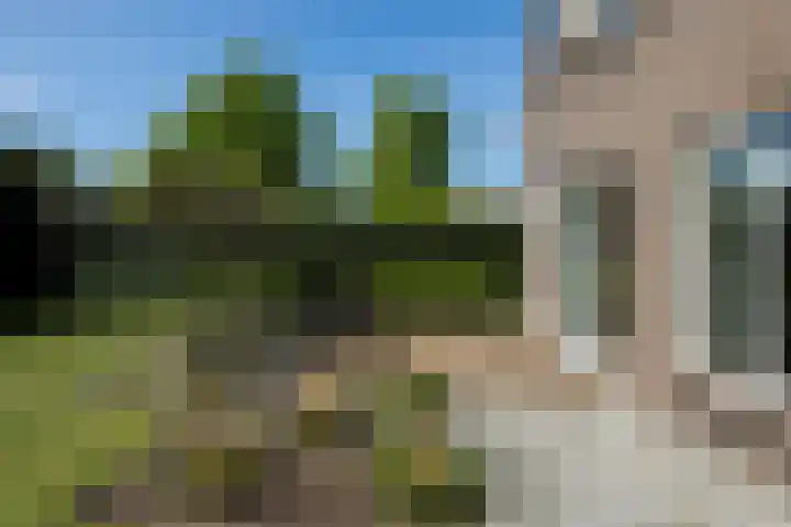 Liesbospark 34 Breda thumbnail 42