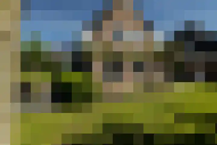Liesbospark 34 Breda thumbnail 43