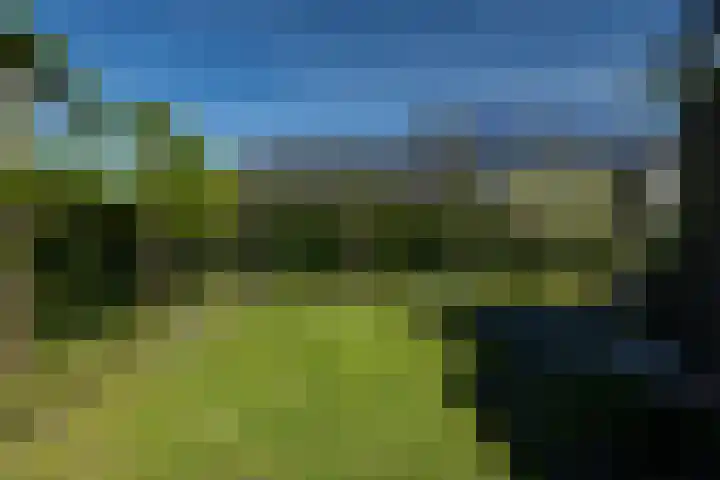 Liesbospark 34 Breda thumbnail 44