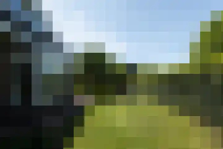 Liesbospark 34 Breda thumbnail 45