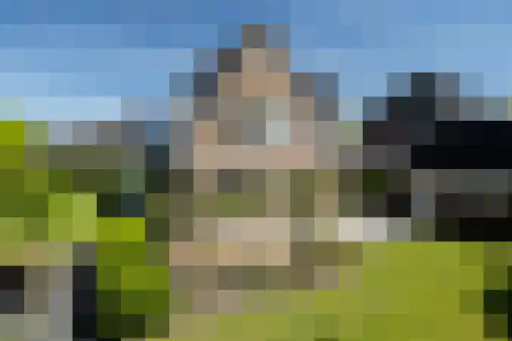 Liesbospark 34 Breda thumbnail 47