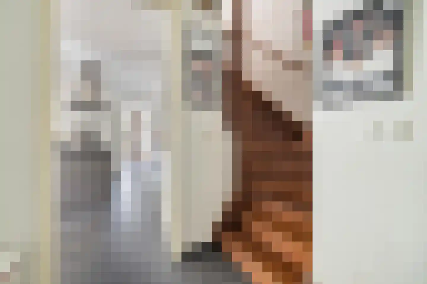 Liesbospark 44 Breda thumbnail 12