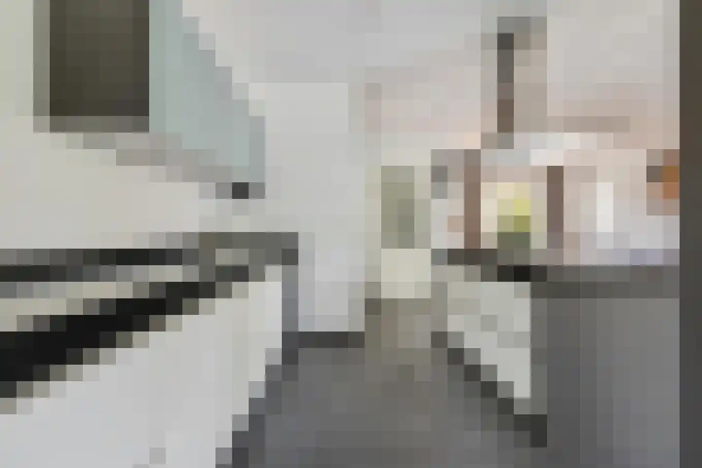 Liesbospark 44 Breda thumbnail 18