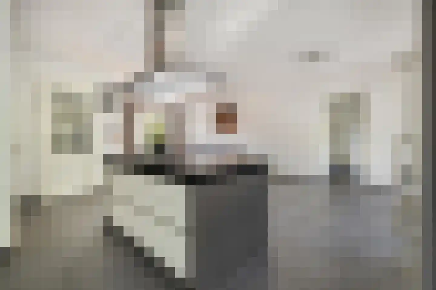 Liesbospark 44 Breda thumbnail 19