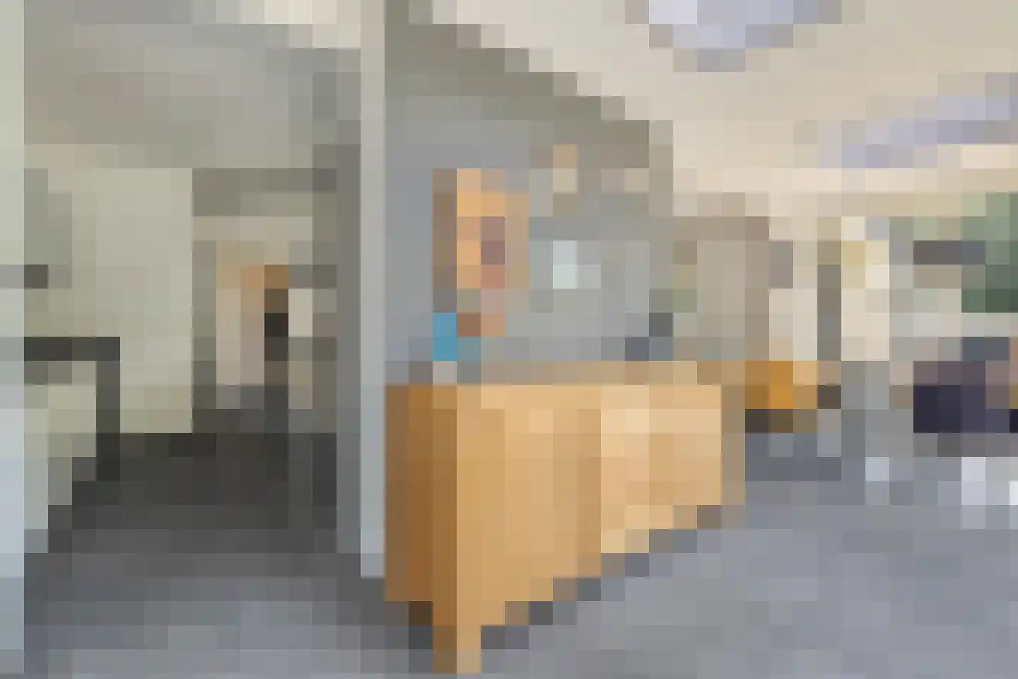 Liesbospark 44 Breda thumbnail 21