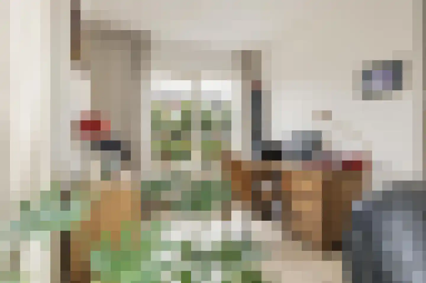 Liesbospark 44 Breda thumbnail 30