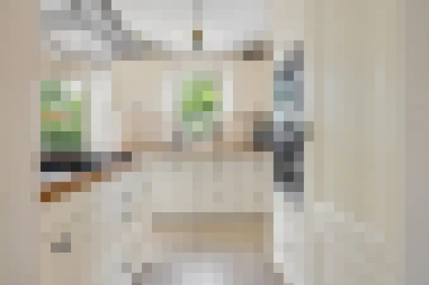 Liesbospark 44 Breda thumbnail 35