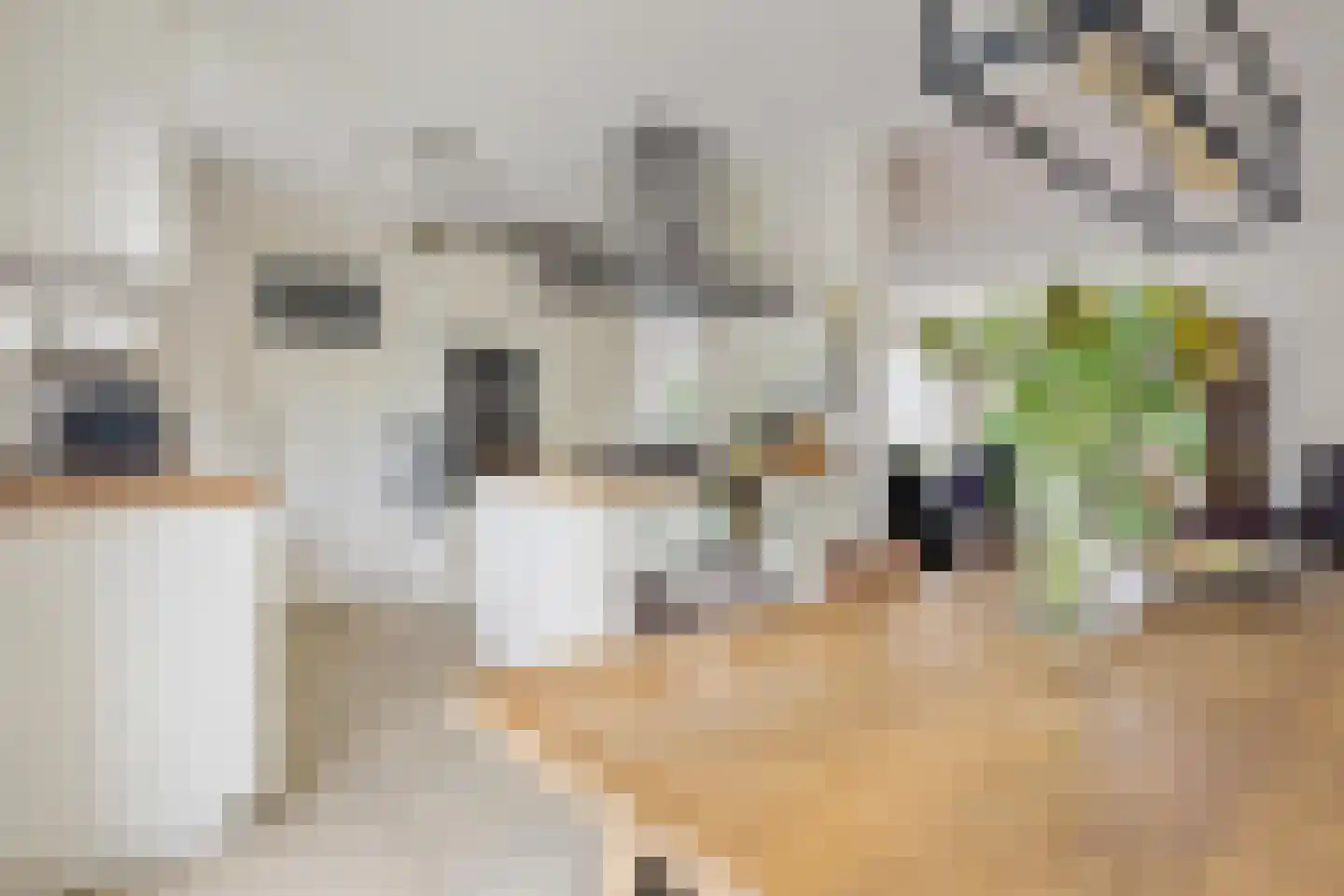 Liesbospark 44 Breda thumbnail 36